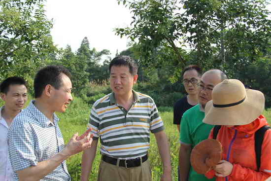 杭州亞運會官方靈芝產品供應商|杭州亞運會官方供應商|中國靈芝十大品牌|仙客來靈芝|仙客來靈芝破壁孢子粉|仙客來孢子油|仙客來靈芝飲片|仙客來破壁孢子粉|靈芝孢子油|孢子粉|靈芝破壁孢子粉|靈芝|中華老字號