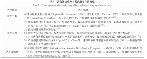 杭州亞運會官方靈芝產品供應商|杭州亞運會官方供應商|中國靈芝十大品牌|仙客來靈芝|仙客來靈芝破壁孢子粉|仙客來孢子油|仙客來靈芝飲片|仙客來破壁孢子粉|靈芝孢子油|孢子粉|靈芝破壁孢子粉|靈芝|中華老字號