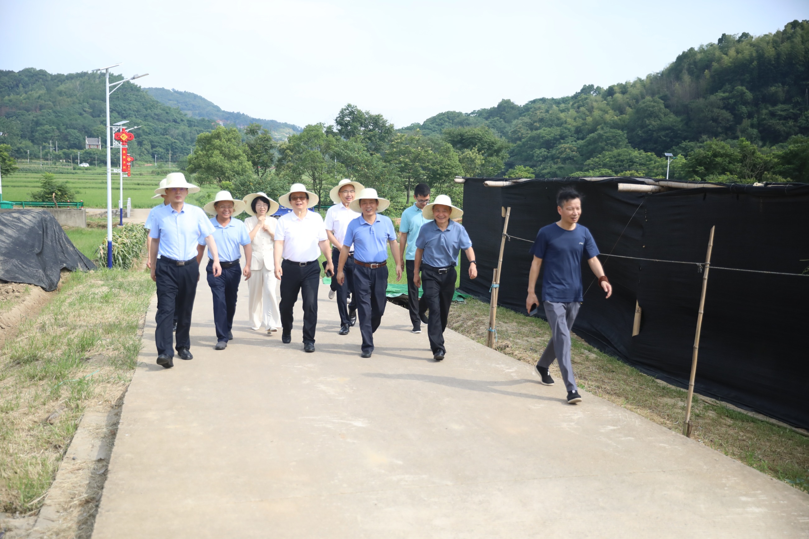 杭州亞運會官方靈芝產品供應商|杭州亞運會官方供應商|中國靈芝十大品牌|仙客來靈芝|仙客來靈芝破壁孢子粉|仙客來孢子油|仙客來靈芝飲片|仙客來破壁孢子粉|靈芝孢子油|孢子粉|靈芝破壁孢子粉|靈芝|中華老字號